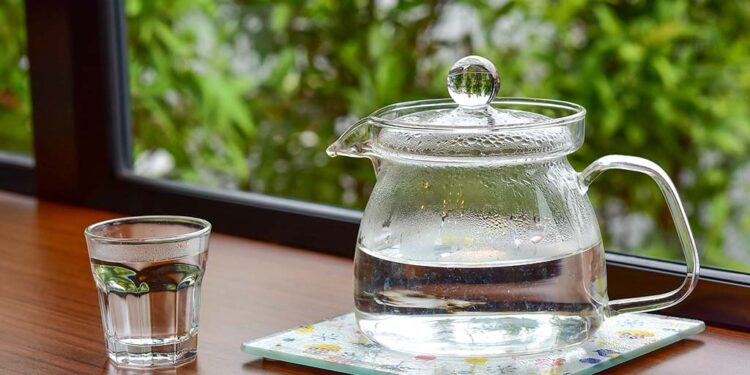 बिहान उठ्ने बितिकै खाली पेटमा मनतातो पानी पिउनुको फाइदै फाइदा