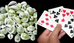 भक्तपुरमा जुवातास खेल्दै गरेका १९ जना पक्राउ, नगदसहित तास बरामद