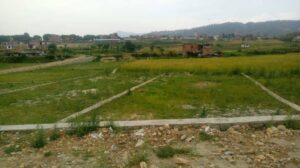 घरजग्गा सेवाको राजस्व अब अनलाइनबाटै तिर्न सकिने