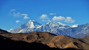 विश्वको सातौं अग्लो धवलागिरि हिमालको चुचुरोमा पुग्ने ‘रुट’ तयार