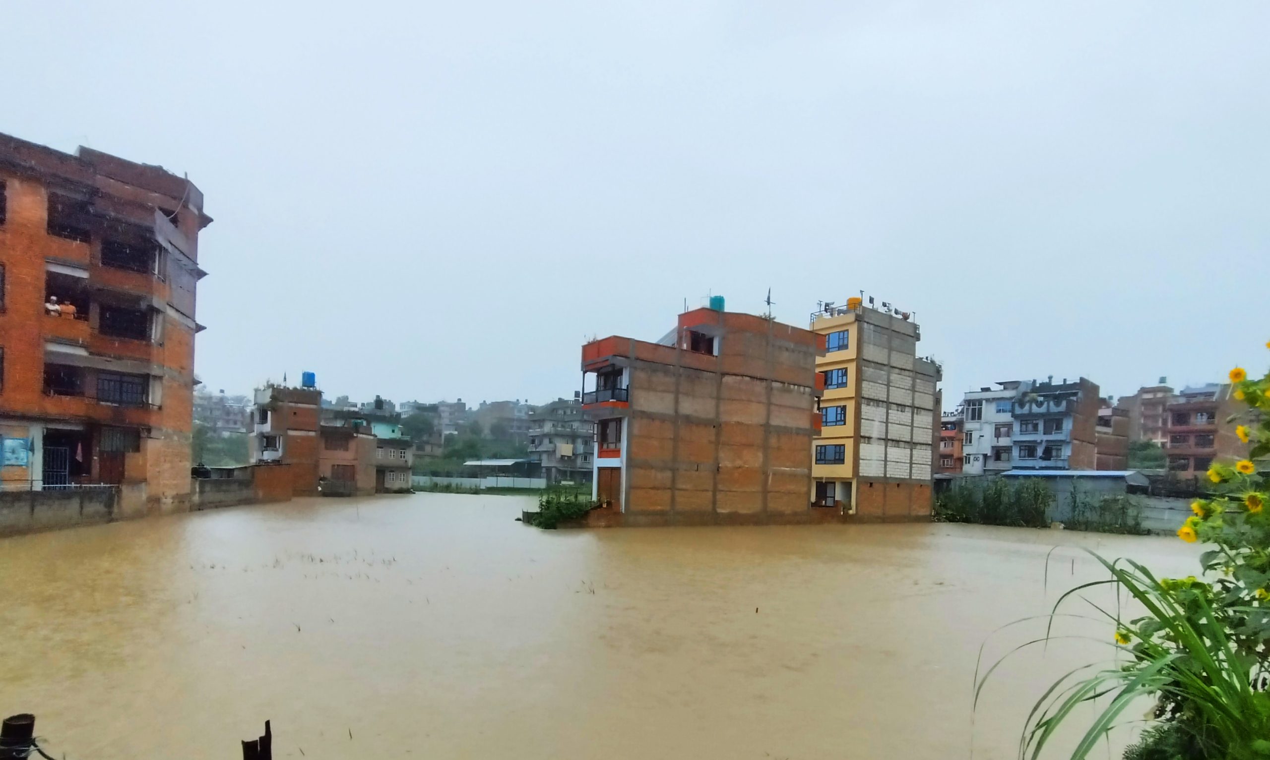 भक्तपुर डुबान २०८१: टुरिजम मार्केटदेखि हनुमानघाटसम्म पुरै जलमग्न (तस्बिरहरु) : Icon Khabar