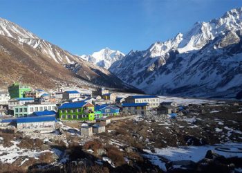 लाङ्टाङमा हराइरहेका एक विदेशी पर्यटक मृत फेला