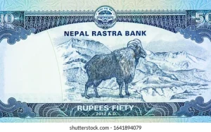 पचास रुपैयाँको ४२ करोड थान नोट छाप्ने जिम्मा चिनियाँ कम्पनीलाई