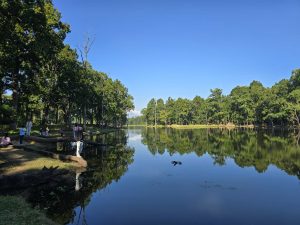 चितवनको बिसहजारी ताल : प्राकृतिक सुन्दरता र जैविक विविधताको आकर्षण (फोटो फिचर)