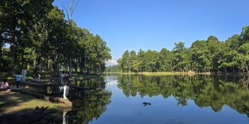 चितवनको बिसहजारी ताल : प्राकृतिक सुन्दरता र जैविक विविधताको आकर्षण (फोटो फिचर)