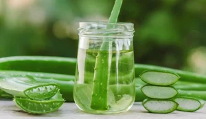 के दैनिक एलोभेरा जुस पिउनु सुरक्षित छ?