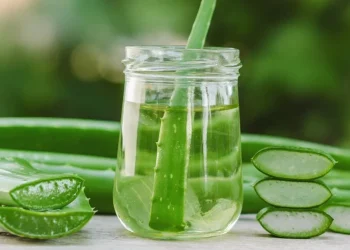 के दैनिक एलोभेरा जुस पिउनु सुरक्षित छ?