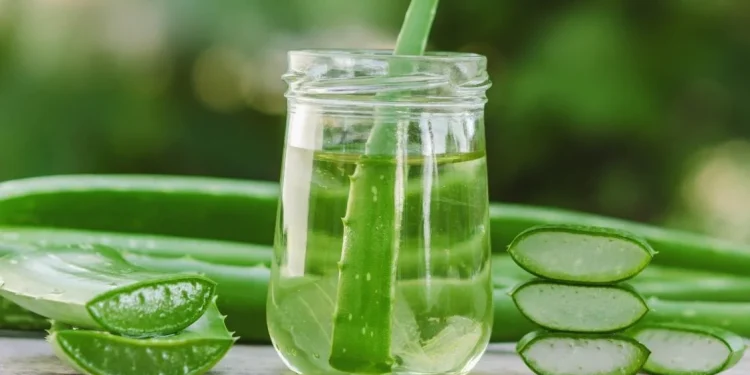 के दैनिक एलोभेरा जुस पिउनु सुरक्षित छ?