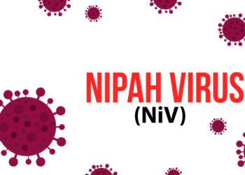 निपाह भाइरसको सङ्क्रमण र यसको जोखिमबारे नयाँ विश्लेषण सार्वजनिक