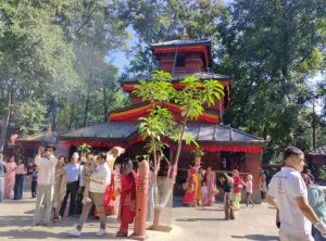 चैत्र शुक्ल अष्टमीमा देशभर चैते दसैँको रौनक, शक्तिपीठहरूमा भक्तजनको भीड