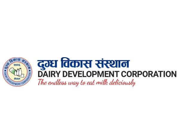 डिडीसीले दैनिक एक करोड किसानलाई भुक्तानी गर्दै : Icon Khabar