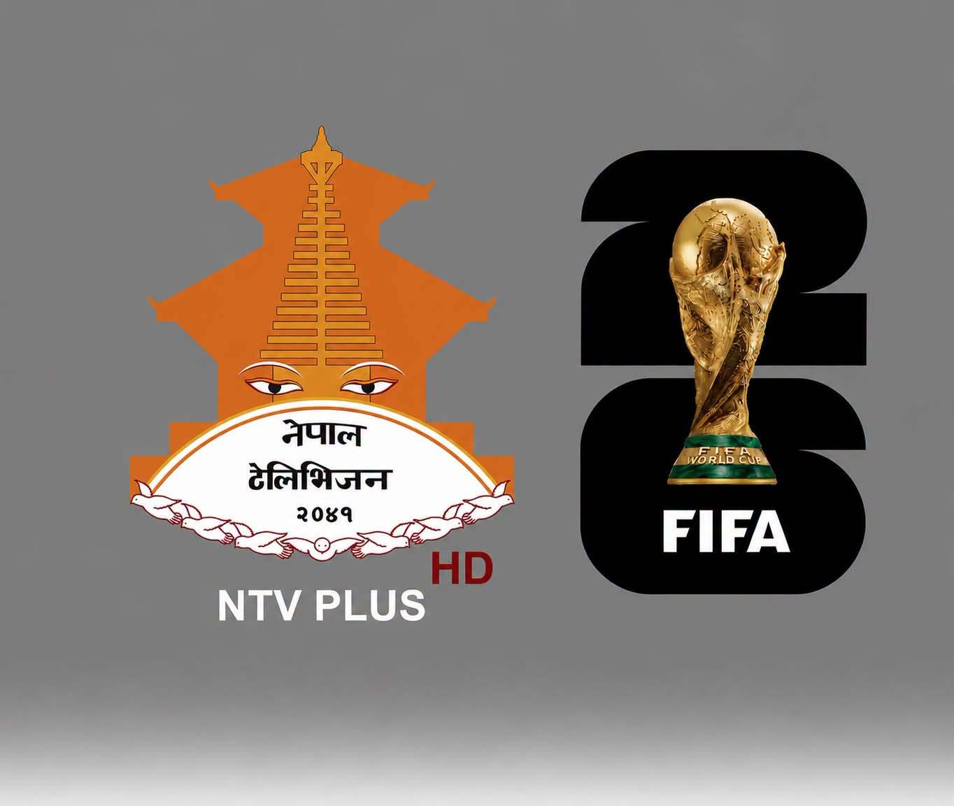 स्पेन–अर्जेन्टिना फाइनल आज राति, एनटिभि प्लसमा प्रत्यक्ष प्रसारण हुने : Icon Khabar