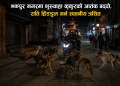 भक्तपुर नगरमा भुस्याहा कुकुरको आतंक बढ्दो, राति हिँडडुल गर्न स्थानीय त्रसित