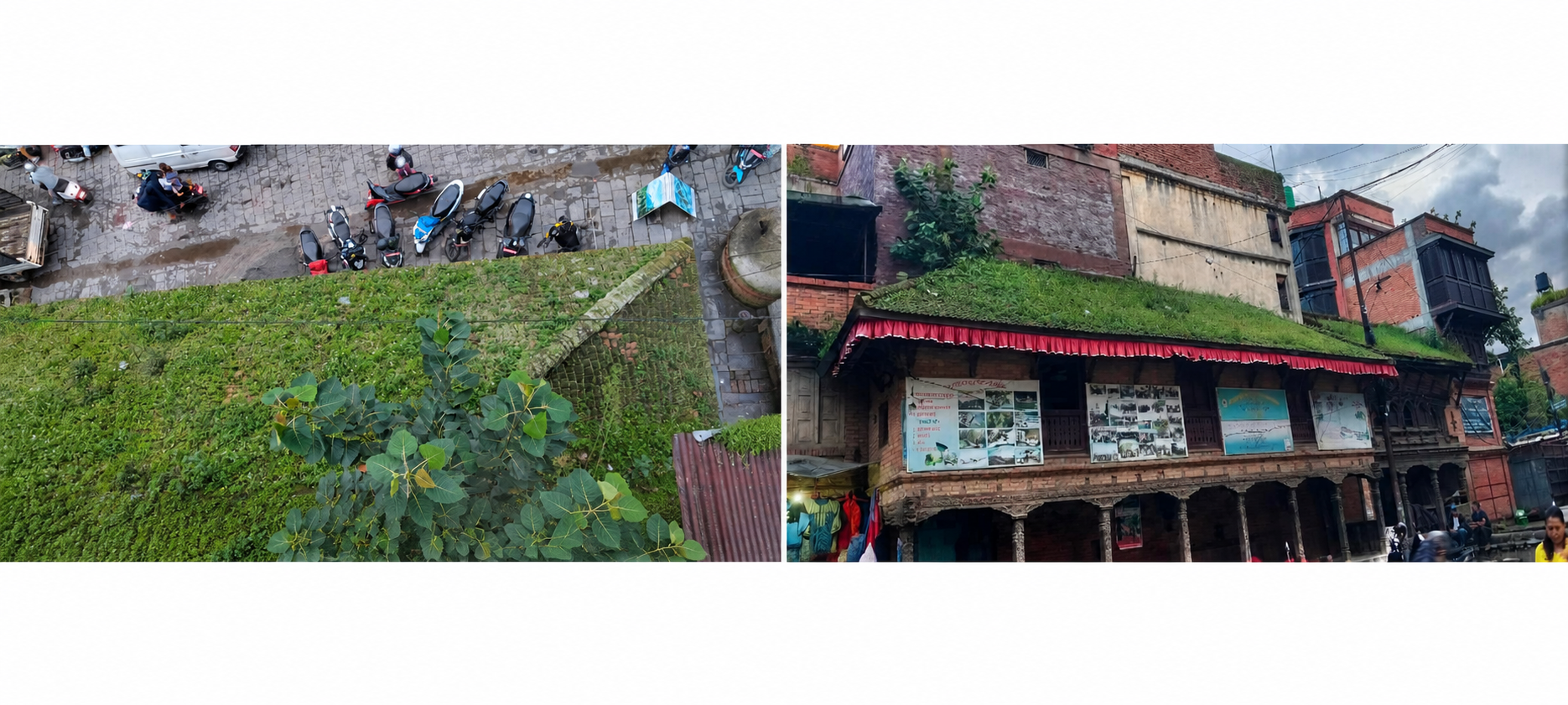 कुनै समय भक्तपुर नपा- ४ को कार्यालय रहेको बुल्चाको पाटी अजंगको पीपल र फ्लेक्स बोर्डले ढाकिँदै : Icon Khabar